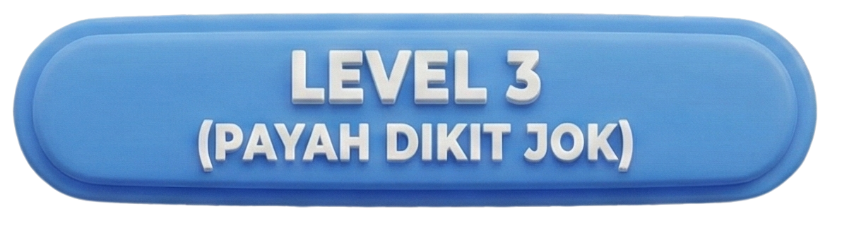 Level 3